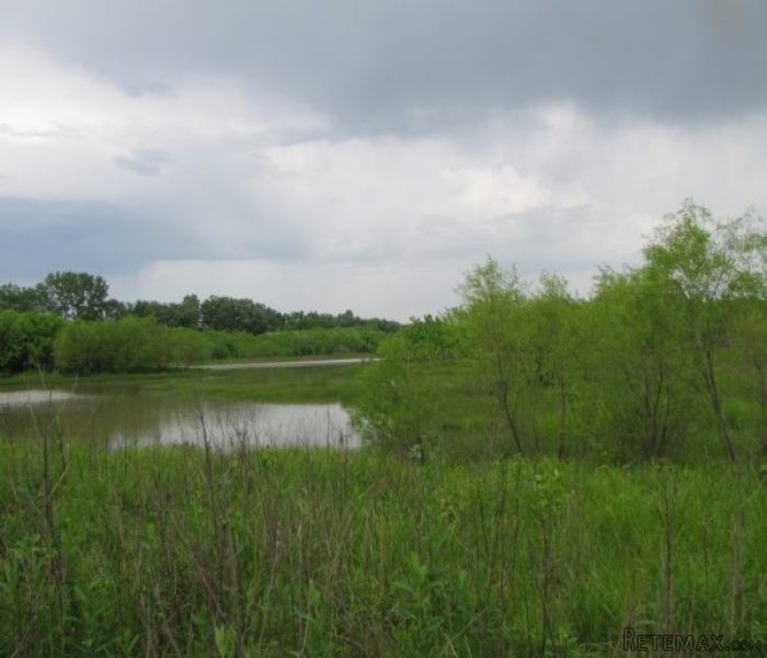 80 +/- Acres Recreational Hunting Land.. - 2