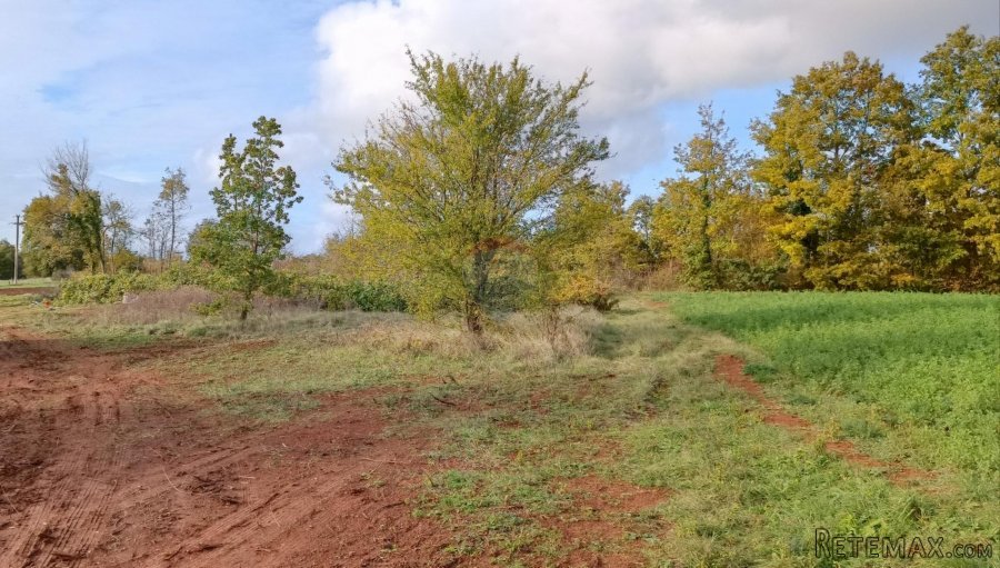 Istra, Žminj - građevinsko zemljište, odlična lokacija - 2