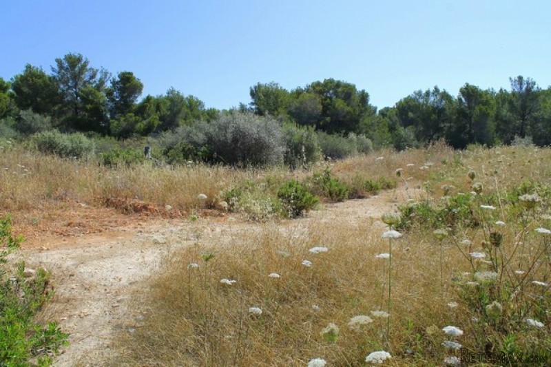 imperial properties santa ponsa - plot.. - 2