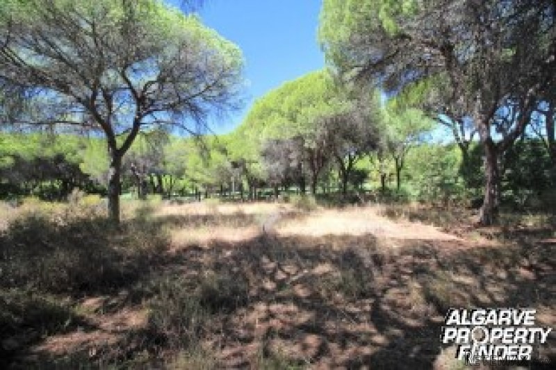 For Sale: Plot In Central Algarve..