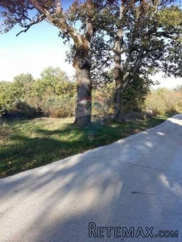 ISTRA, ŽMINJ, GRAĐEVINSKO ZEMLJIŠTE SPREMNO ZA GRADNJU