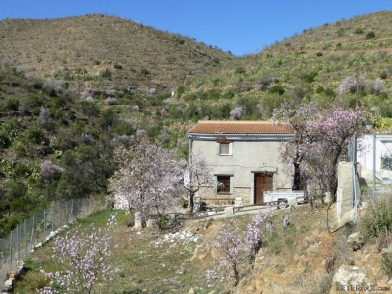 Cortijo / Country House in Albox
