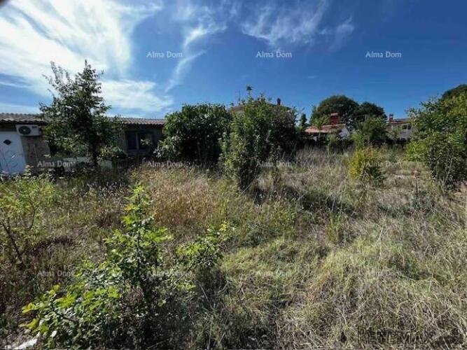 Prodaja stare istarske kuće sa velikom građevinskom p.. - 7
