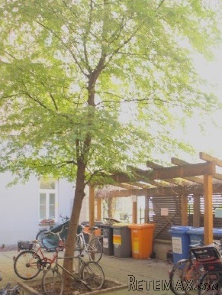 2rooms Apartment For Sale In.. - 2