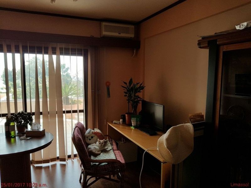 One Bedroom Apartment in Enaerios area