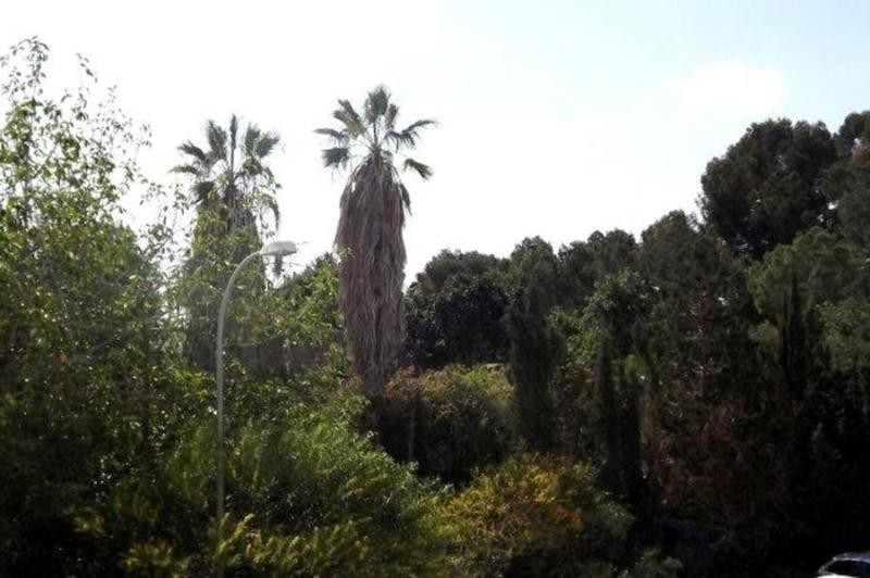 2 Bedrooms - Apartment - Alicante - For.. - 2