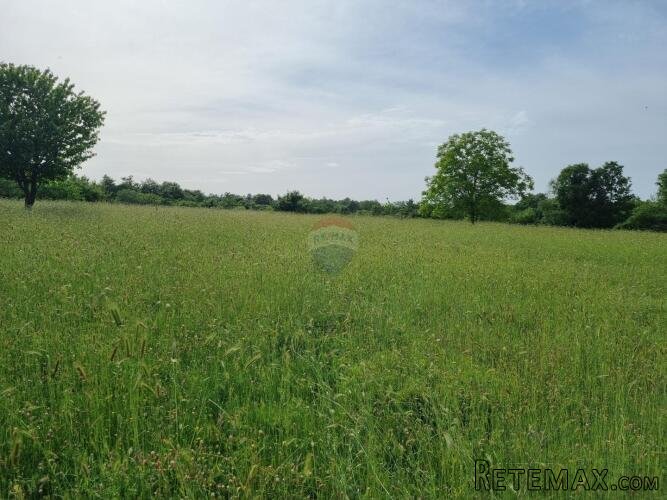 Istra, Žminj - više građevinskih zemljišta 1000 m2 - 2