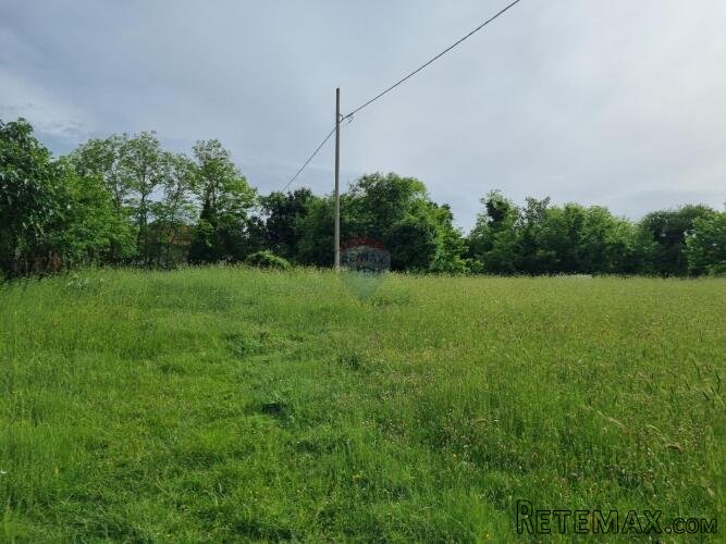 Istra, Žminj - više građevinskih zemljišta 1000 m2 - 3