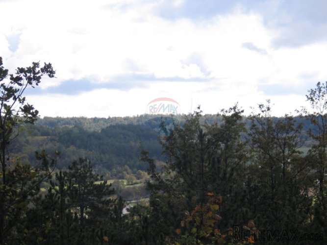 Veliko zemljište/ Ranč sa započetom gradnjom - 5