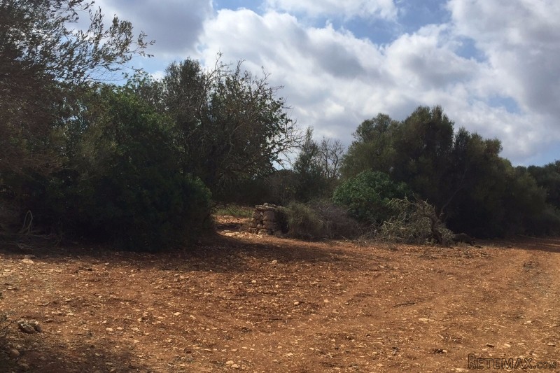 Plot in Santanyi