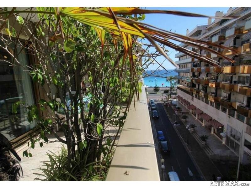 Great Apartment Just 50m From The Sea