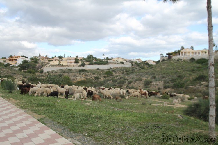 Beautiful villa in a quiet street and well located with.. - 3