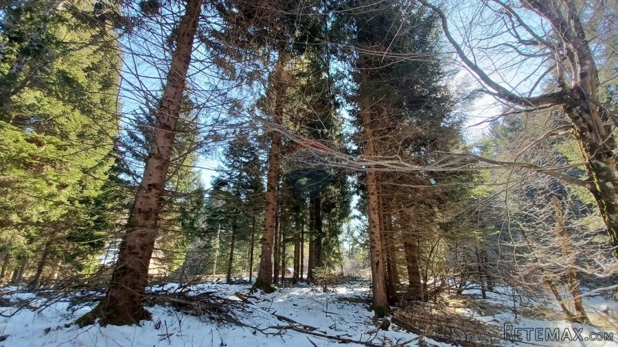 Jasenak - građevinski teren 1507 m2 - 3