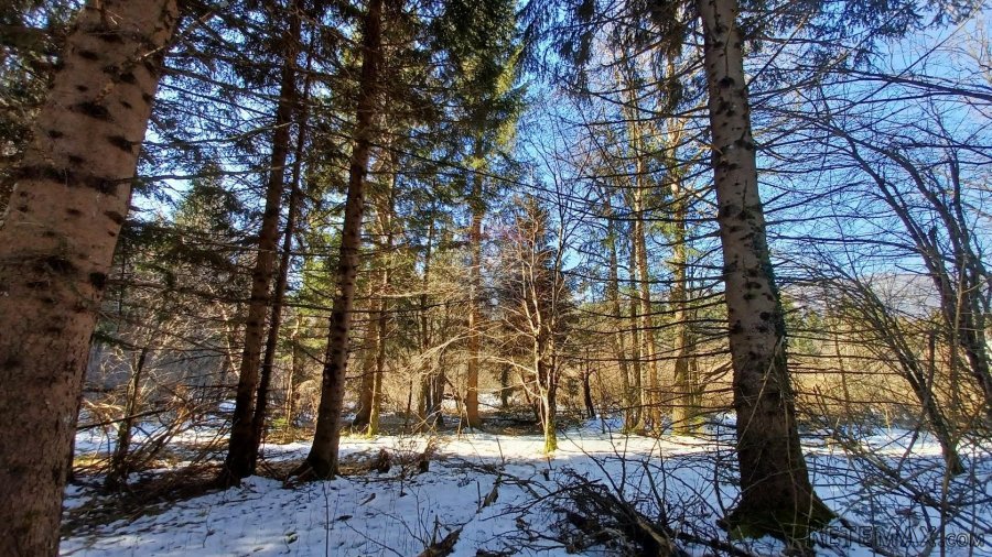 Jasenak - građevinski teren 1507 m2 - 5