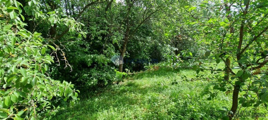 Zagreb, Kozjak, Maksimir, 583m2 - 2