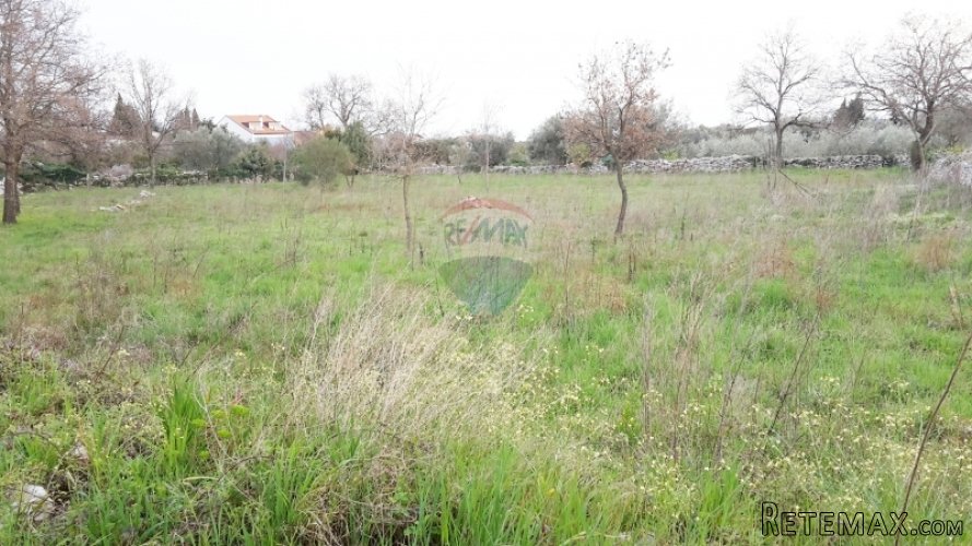Istra, Peroj atraktivno građevinsko zemljište,650m od mora - 3