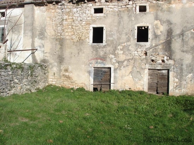 RAKALJ, STARINA SA VELIKOM OKUĆNICOM - 3