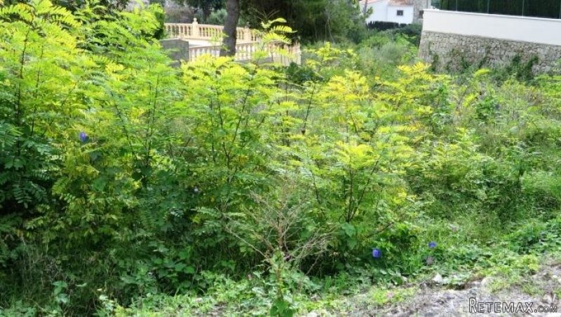 0 Bedroom 0 Bathroom Plot for sale in.. - 2