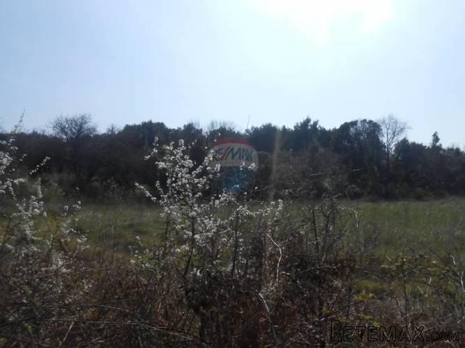 Istra, Ližnjan, 5 poljoprivrednih parcela totalne... - 4