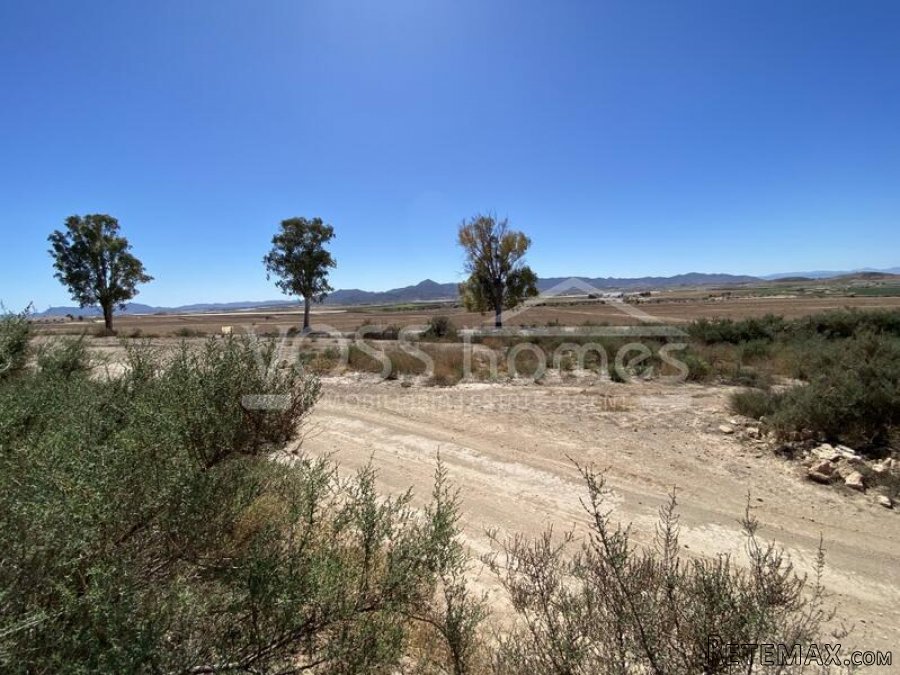 NEW & EXCLUSIVE TO VOSS HOMES - A huge 361m2 country house.. - 15