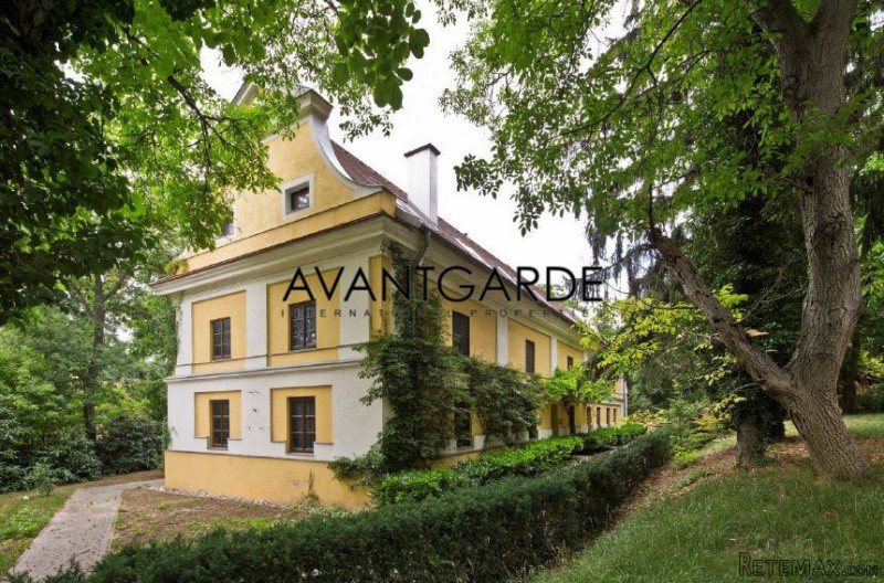 Horse Farm near Vienna