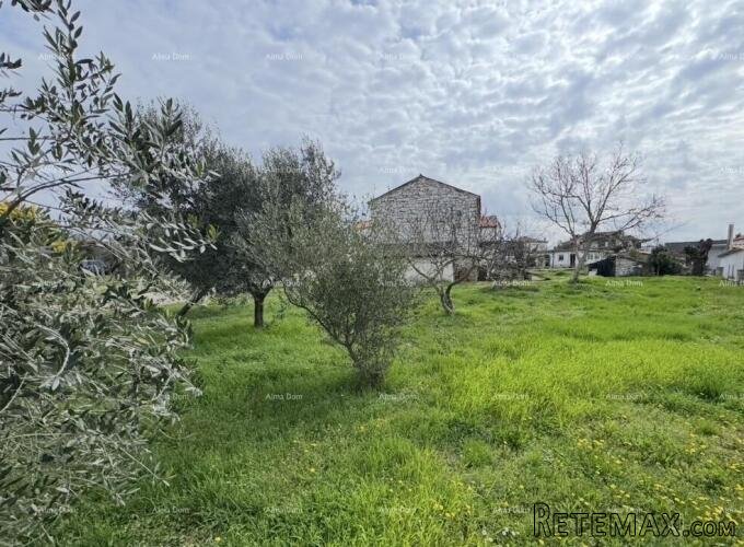 Kamena kuća s potencijalom – blizu Umaga - 2