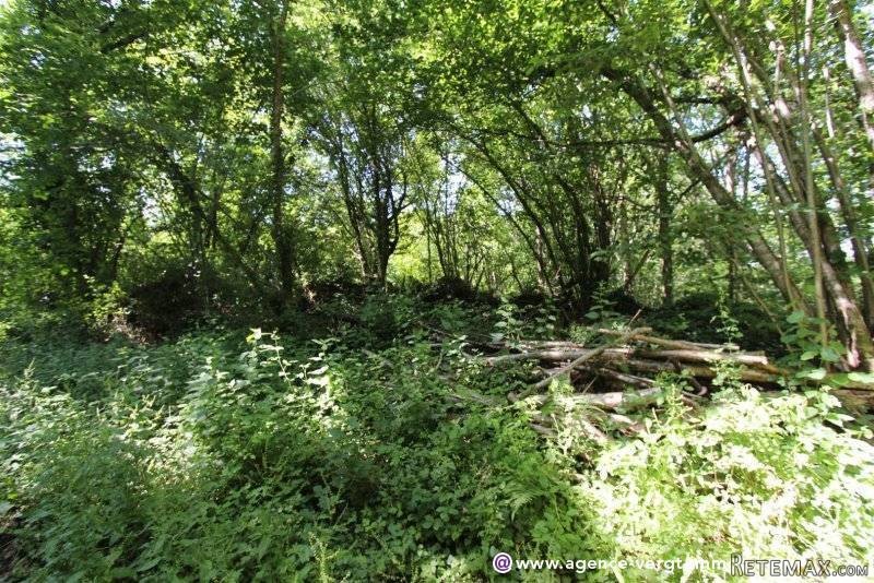 Ref 30017 : Maison En Pierres..
