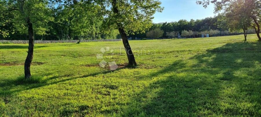 Iznimno zemljište između Bala i Rovinja sa građevinskom dozv - 3