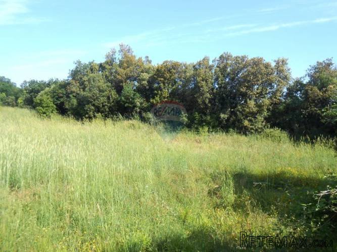 Istra, Štinjan, građevinsko zemljište 180m od mora - 2