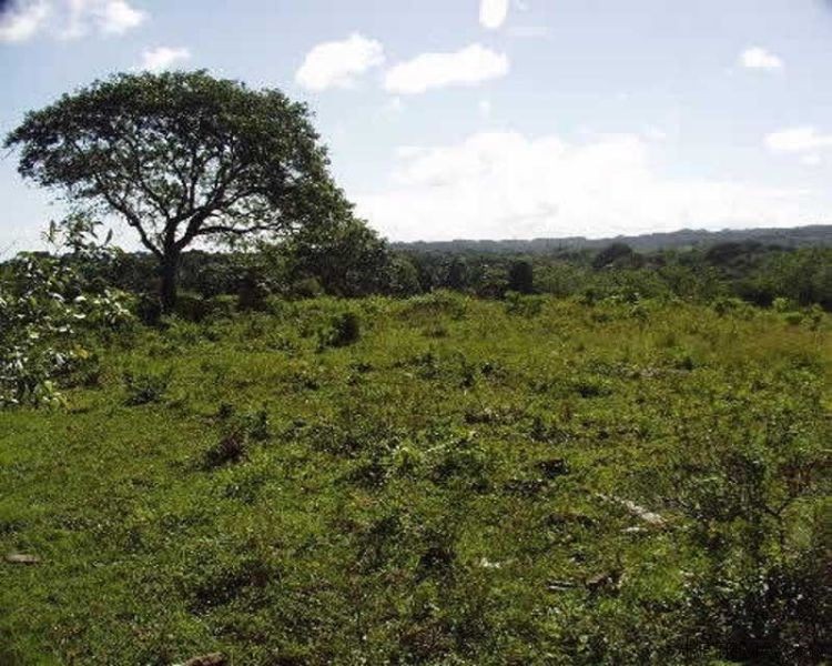 Beautful Lot For Sale In Cabarete C5