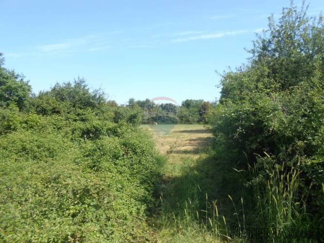 Istra, Štinjan, građevinsko zemljište 180m od mora - 3
