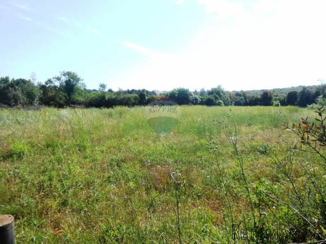 Istra, Štinjan, građevinsko zemljište 180m od mora - 4