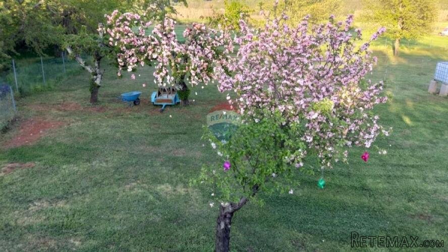Istra,Umag,okolica-Poljoprivredno zemljište s vodom - 2