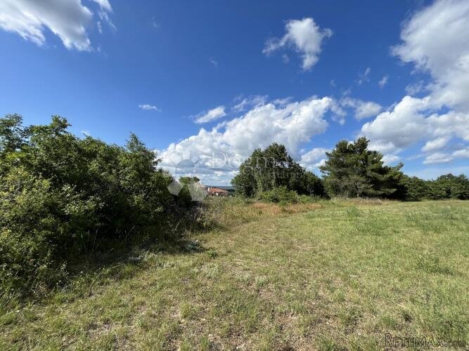 POLJOPRIVREDNO ZEMLJIŠTE KANFANAR 10 000 m² - 2