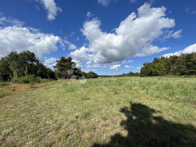 POLJOPRIVREDNO ZEMLJIŠTE KANFANAR 10 000 m² - 3