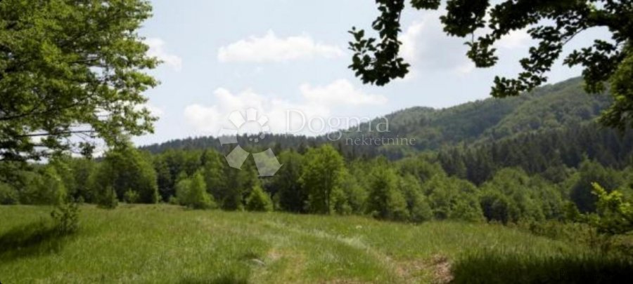 Luksuz u Gorskom kotaru - 5