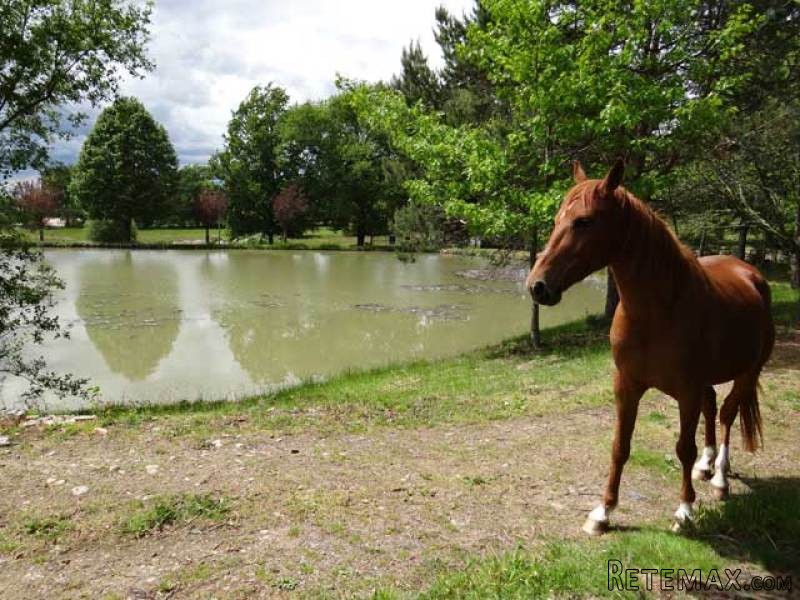 Rare : Building Plot With Pond - 2