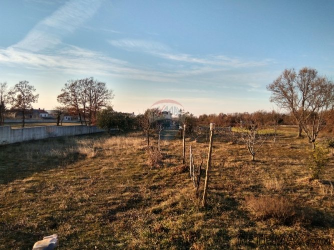 Istra, Vidulini - simpatična vikendica okružena zelenilom - 5