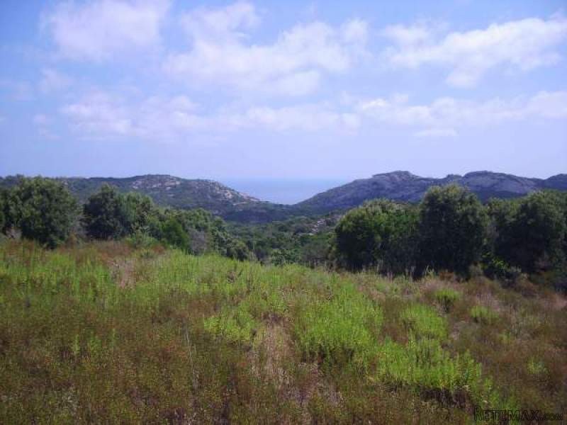 Land sea view for sale in Sardinia -..