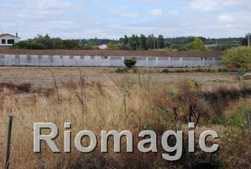 Land with Project Rio Maior