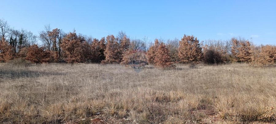 Istra, Svetvinčenat - građevinsko zemljište, ugostiteljsko t - 3