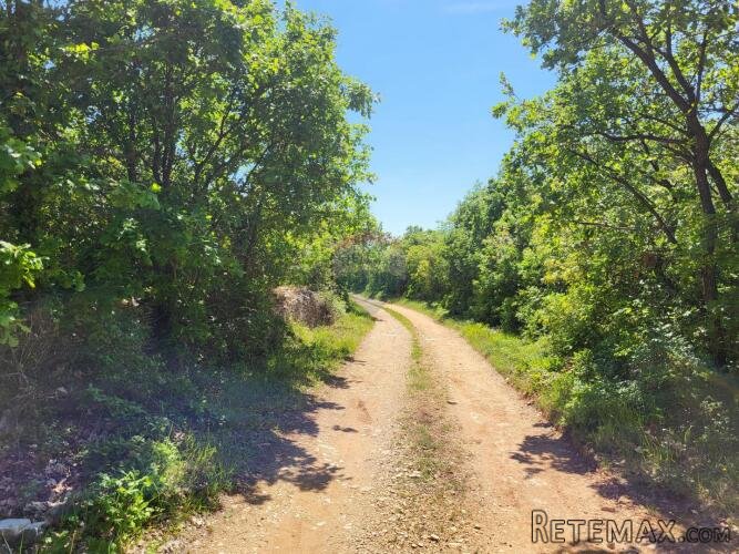 Istra, Vodnjan-Mednjan, poljoprivredno zemljište sa urednim - 3