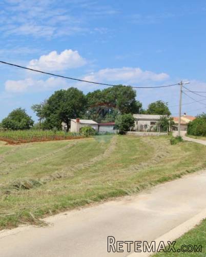 SREDIŠNJA ISTRA, LIJEPA PARCELA U PRIRODNOM OKOLIŠU - 3