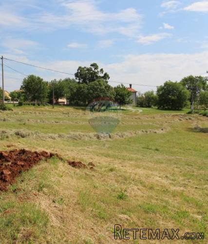 SREDIŠNJA ISTRA, LIJEPA PARCELA U PRIRODNOM OKOLIŠU - 4
