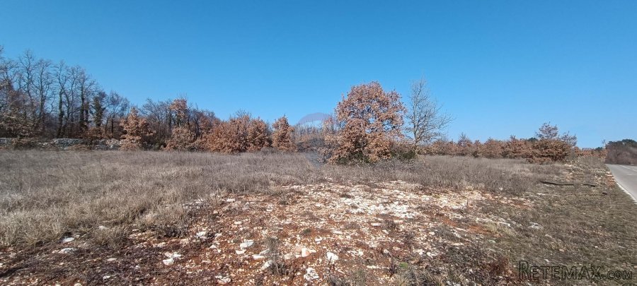 Istra, Svetvinčenat - građevinsko zemljište, ugostiteljsko t - 5