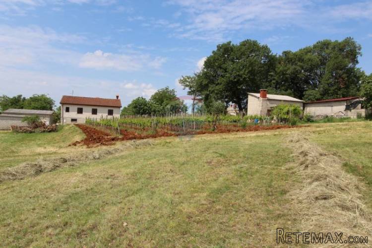 SREDIŠNJA ISTRA, LIJEPA PARCELA U PRIRODNOM OKOLIŠU - 5