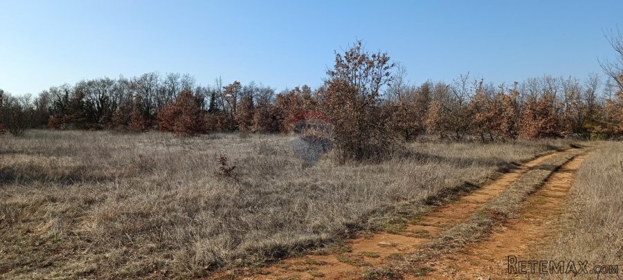 Istra, Svetvinčenat - građevinsko zemljište, ugostiteljsko t - 6