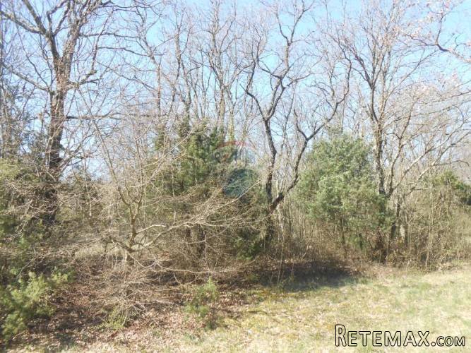 Istra, Svetvinčenat, poljoprivredno zemljište-povoljna... - 3
