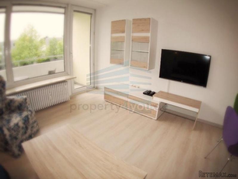 Helles geraumiges 1-Zimmer Apartment.. - 2