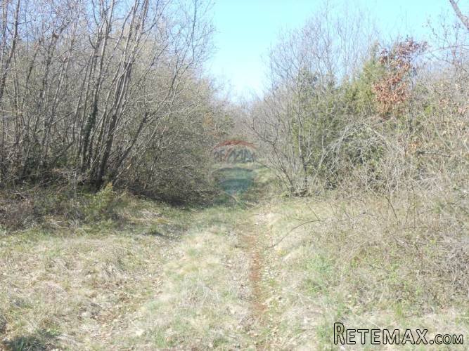 Istra, Svetvinčenat, poljoprivredno zemljište-povoljna... - 4